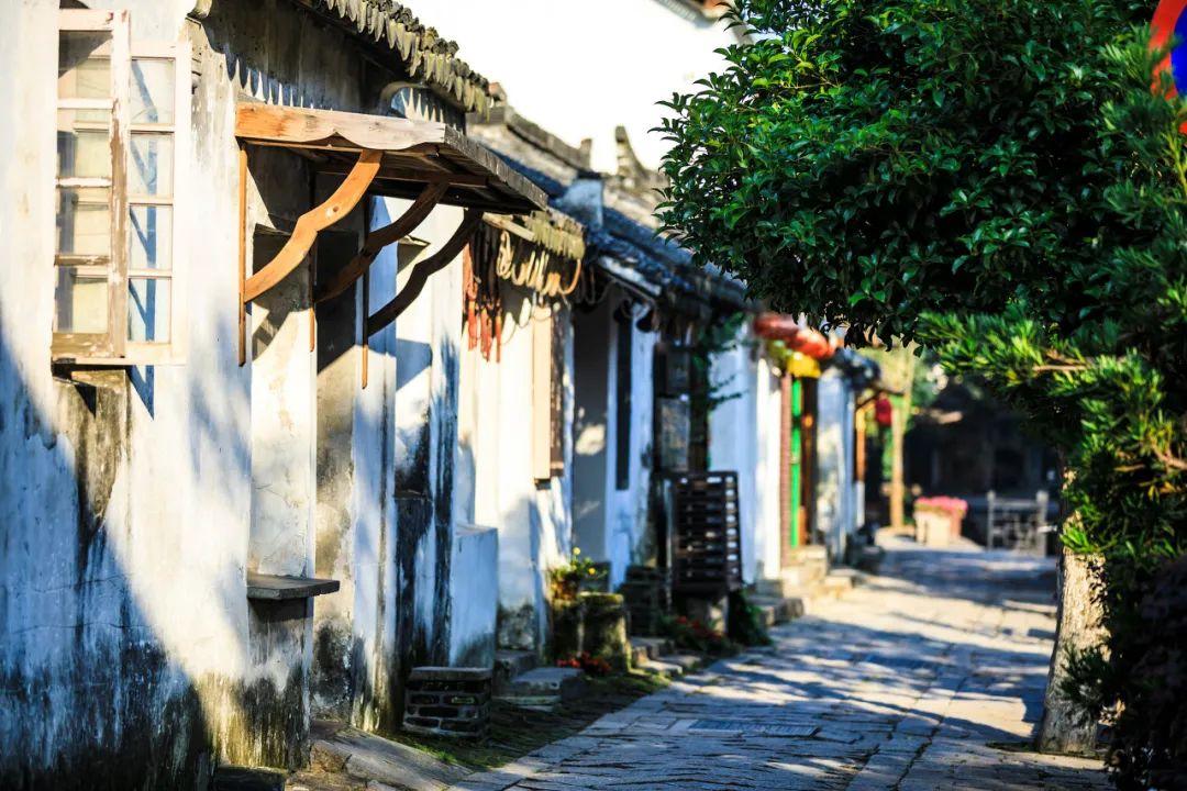 双音大鱼推出新歌《龙门跃》迎龙年